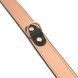 Liebe Seele Rose Gold Memory Collar With Nipple Clamps, leather SO9495 - photos (6