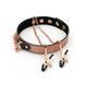 Liebe Seele Rose Gold Memory Collar With Nipple Clamps, leather SO9495 - photos (1