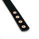 Liebe Seele Rose Gold Memory Collar With Nipple Clamps, leather SO9495 - photos (8