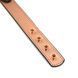 Liebe Seele Rose Gold Memory Collar With Nipple Clamps, leather SO9495 - photos (7