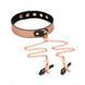 Liebe Seele Rose Gold Memory Collar With Nipple Clamps, leather SO9495 - photos (2