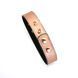 Liebe Seele Rose Gold Memory Collar With Nipple Clamps, leather SO9495 - photos (4