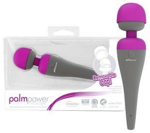 Hi-tech vibrator - PalmPower Massager 61325791220000 &mdash; photos