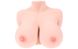 Мастурбатор-груди - Kokos Bouncing Titties F