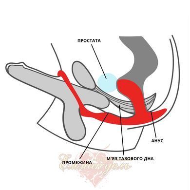Anal plug with an erection ring - Fun Factory BOOTIE RING slate SX0972 &mdash; photos