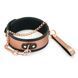 Liebe Seele Rose Gold Memory Collar With Leash, leather SO9494 - photos (1