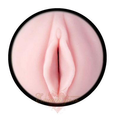 Masturbator-vagina - Fleshlight Pink Lady Destroya New texture