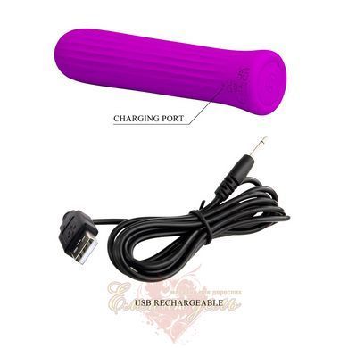 Міні вібратор - Pretty Love Blanche Vibrator Purple 6603BW-500019 фото