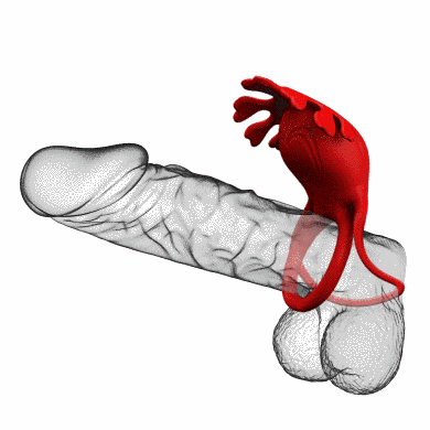 Эрекционное кольцо - Pretty Love Vibrant Penis Ring Ruben Red 6603BI1253 фото