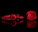 Luxurious rose ball gag - Zalo Rose Ball Gag, dual use