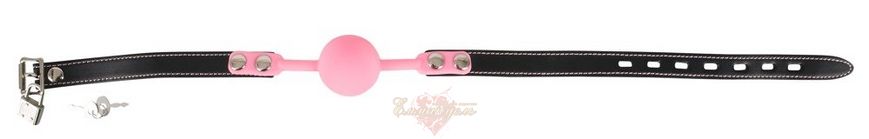 249187 Pink Gag silicone