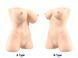 Naked Factory JESSICA B TYPE Torso Masturbator Throughhole SX3484 - photos (8