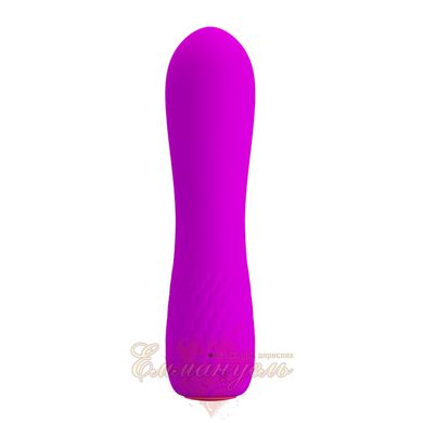 Vibrator - Pretty Love Beau Vibrator Purple, Rechargeable - 12 x 3