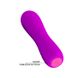 Вибратор - Pretty Love Beau Vibrator Purple, перезаряжаемый - 12 x 3