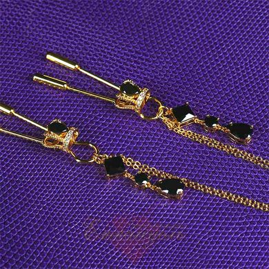 UPKO Crown and dangling side decorations chain nipple clamps