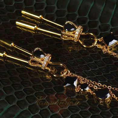 UPKO Crown and dangling side decorations chain nipple clamps