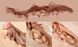 Naked Factory HANNAH realistic dual-channel butt masturbator SX3478 - photos (7