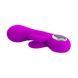 Hi-tech вібратор - Pretty Love Valentine Purple 6603BI0602 фото 4