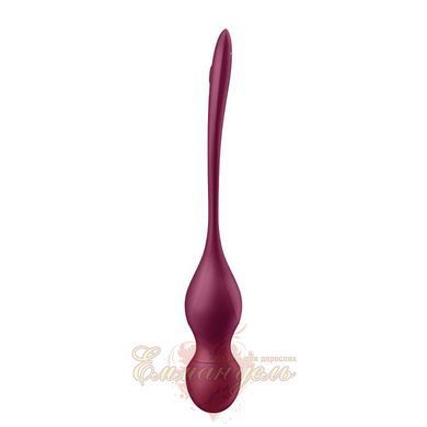 Смарт-вагинальные шарики с вибрацией - Satisfyer Love Birds Vary Connect App, изменяемая масса, пульт SX1216 фото