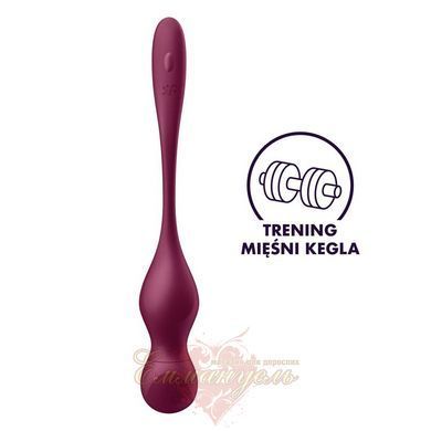 Смарт-вагинальные шарики с вибрацией - Satisfyer Love Birds Vary Connect App, изменяемая масса, пульт SX1216 фото