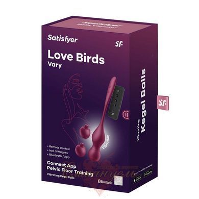Смарт-вагинальные шарики с вибрацией - Satisfyer Love Birds Vary Connect App, изменяемая масса, пульт SX1216 фото