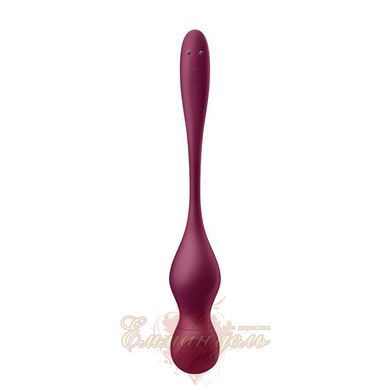 Смарт-вагинальные шарики с вибрацией - Satisfyer Love Birds Vary Connect App, изменяемая масса, пульт SX1216 фото