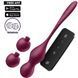 Смарт-вагинальные шарики с вибрацией - Satisfyer Love Birds Vary Connect App, изменяемая масса, пульт SX1216 фото 1