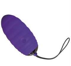Vibro egg - Adrien Lastic Ocean Breeze Purple with remote control