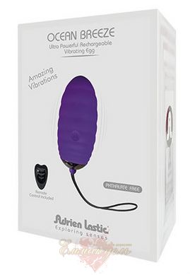 Віброяйце - Adrien Lastic Ocean Breeze Purple with remote control