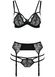 Set of linen - FLORIS SET black L/XL - Passion Exclusive:Bodice, panties, garter belt