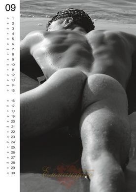 Календарь - Pin-up Kalender Men 2026 91321806960000-26 фото